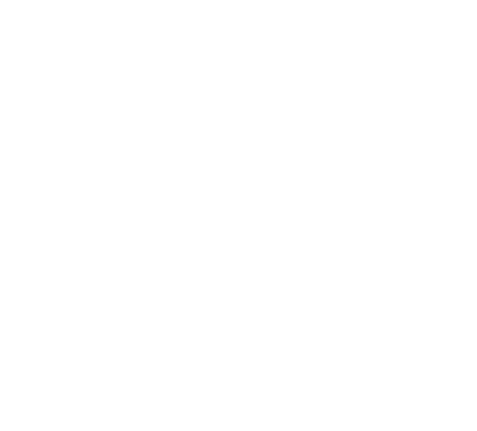 Zilic Bau